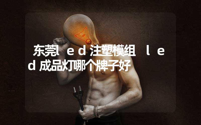 东莞led注塑模组 led成品灯哪个牌子好